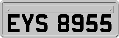 EYS8955