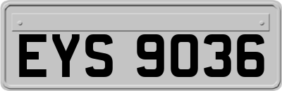 EYS9036