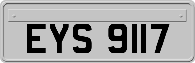 EYS9117