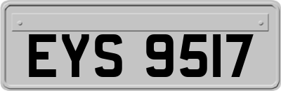 EYS9517