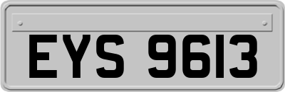EYS9613