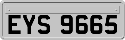 EYS9665