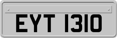 EYT1310