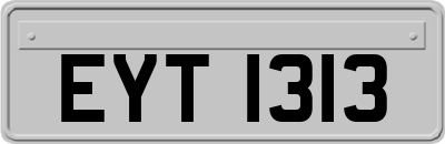 EYT1313