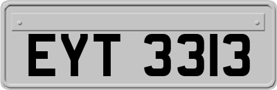 EYT3313