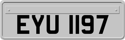 EYU1197