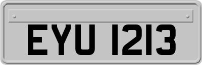 EYU1213