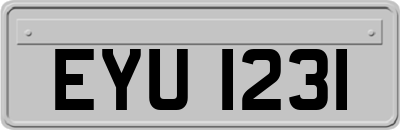 EYU1231