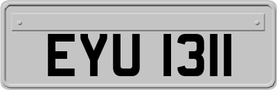 EYU1311