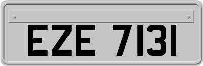 EZE7131