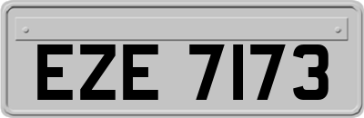 EZE7173
