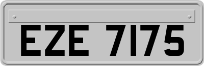 EZE7175