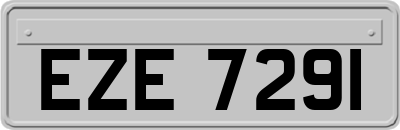 EZE7291