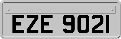 EZE9021