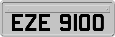 EZE9100