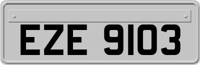EZE9103