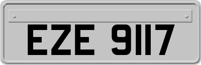 EZE9117
