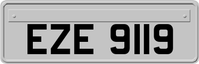 EZE9119