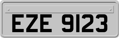 EZE9123