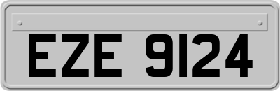 EZE9124