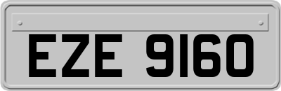 EZE9160