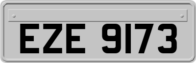 EZE9173