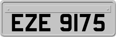 EZE9175