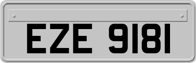 EZE9181