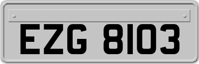 EZG8103
