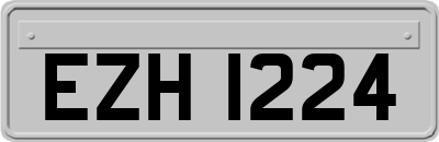 EZH1224
