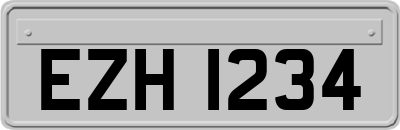 EZH1234