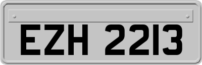 EZH2213