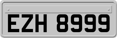 EZH8999
