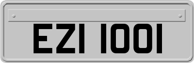 EZI1001