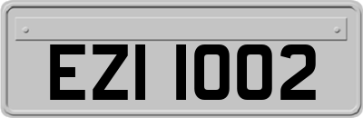 EZI1002