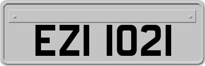 EZI1021