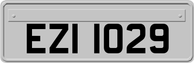 EZI1029
