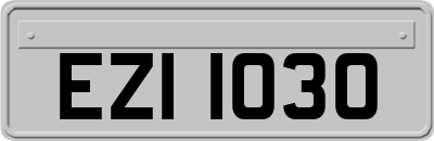 EZI1030