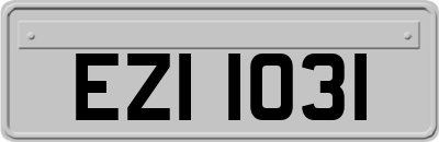 EZI1031