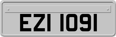 EZI1091