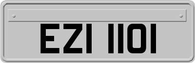 EZI1101