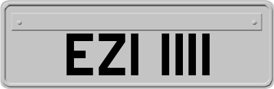 EZI1111