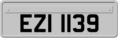 EZI1139