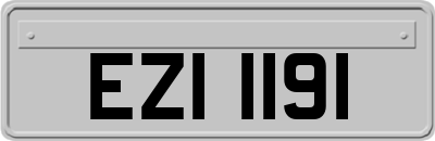 EZI1191