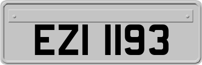 EZI1193