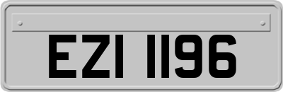 EZI1196