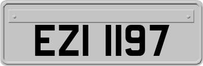 EZI1197