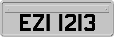 EZI1213