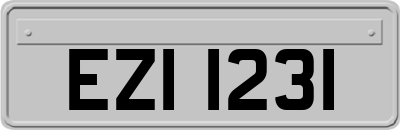 EZI1231