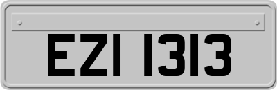 EZI1313